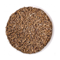 Black Cumin (Kala Zeera) ~ Premium Quality