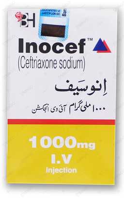 Inocef 1000mg  I.V  Injection
