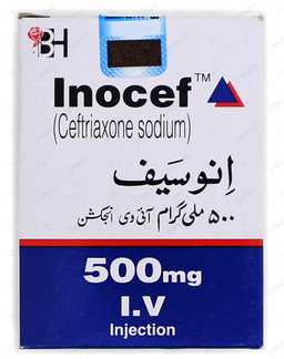 Inocef 500mg  I.V  Injection