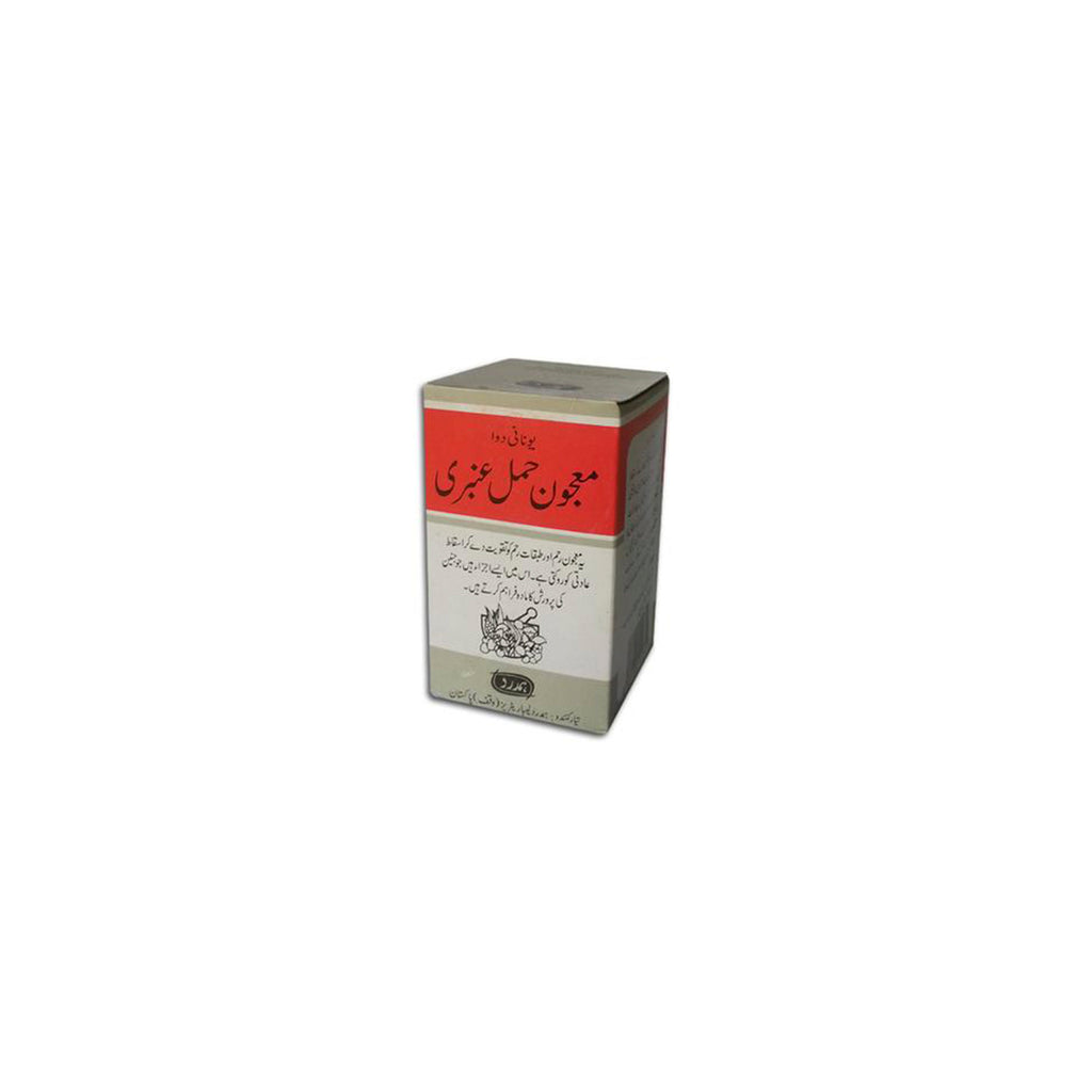 Alshifa Hamdard Majun Hamal Amberi 100g | Alshifa.com.pk