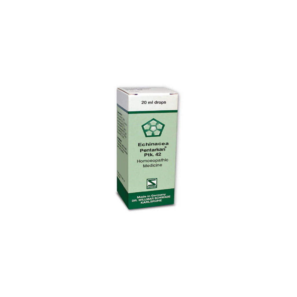 Alshifa Echinacea Pentarkan Ptk. 42 | Alshifa.com.pk
