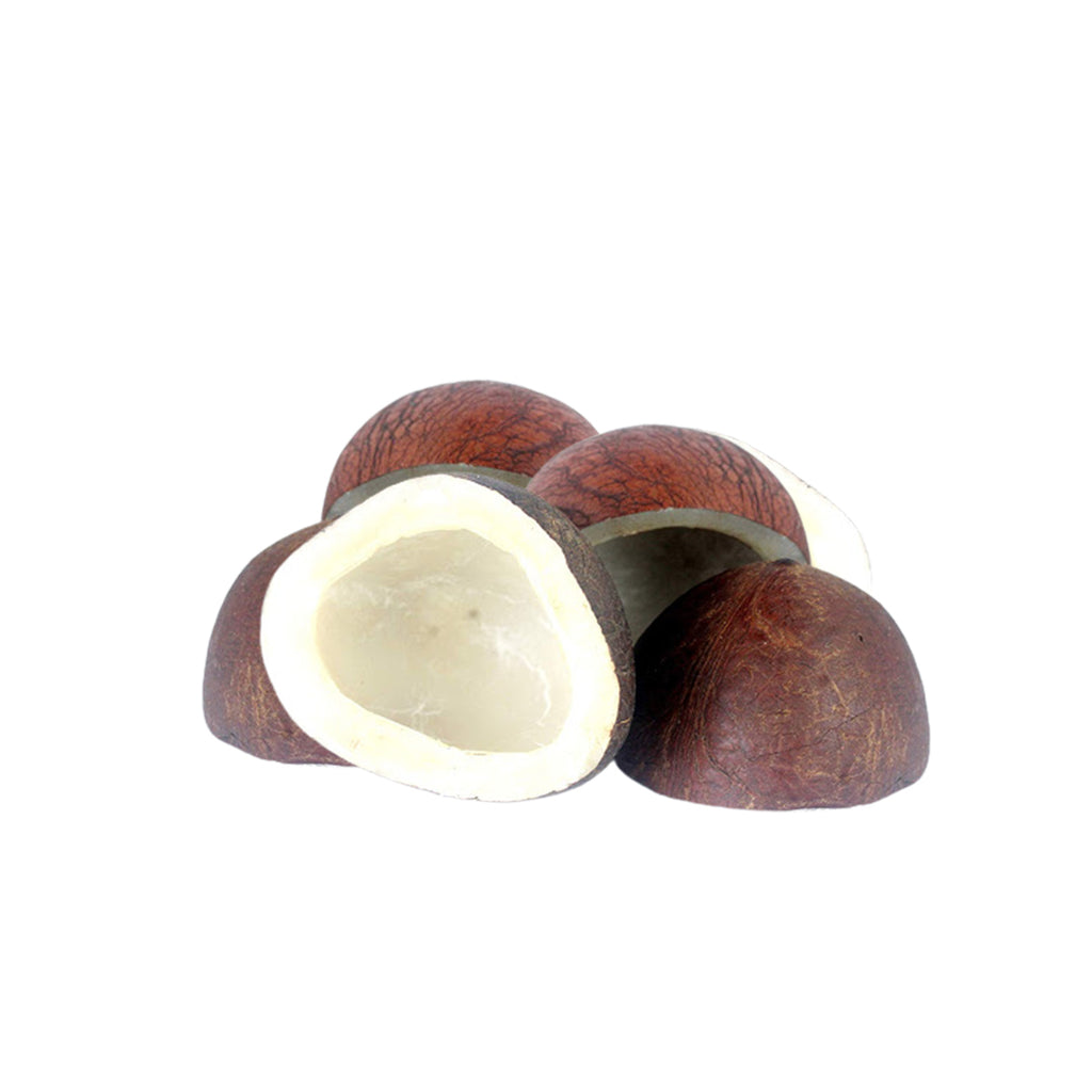 Alshifa Dried Coconut ~ Premium Quality | Alshifa.com.pk