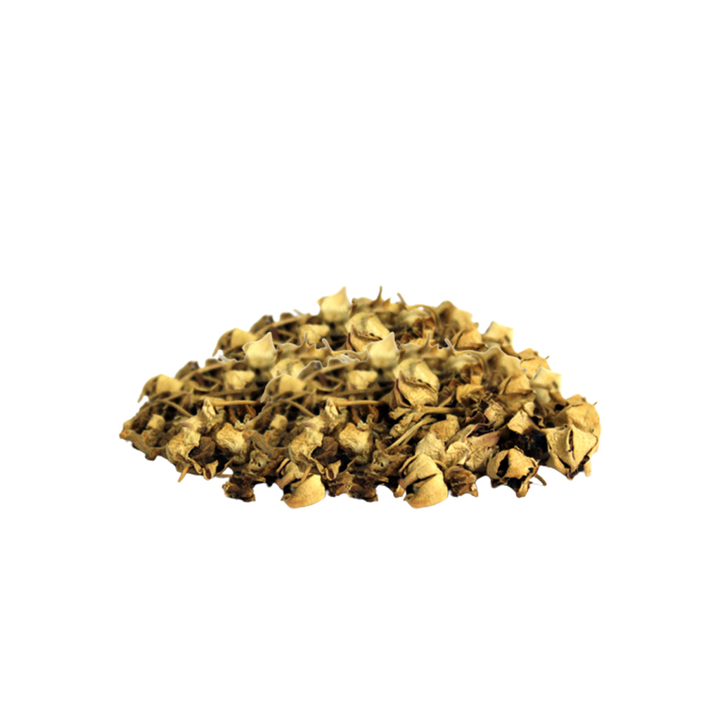 Alshifa Gul-e-madaar Herbs | Alshifa.com.pk