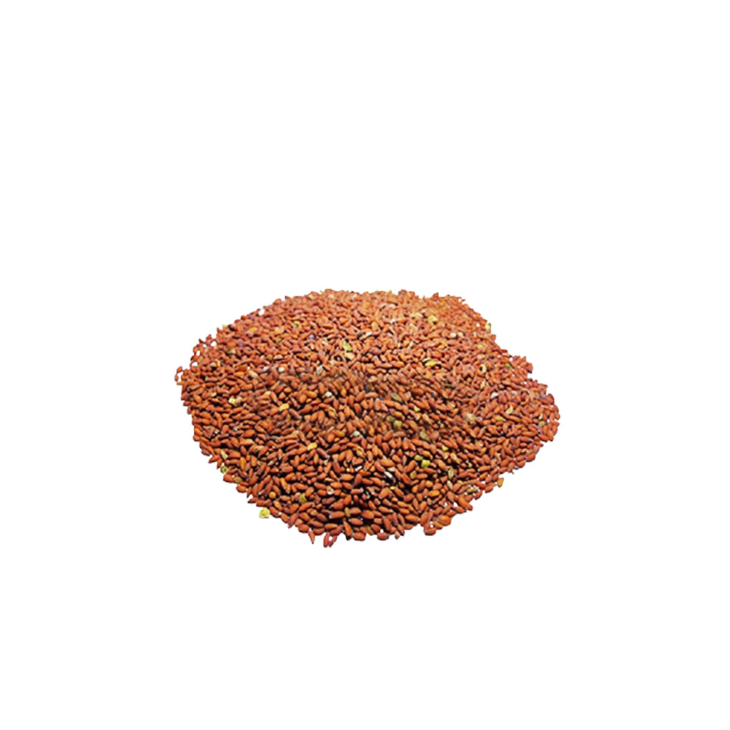 Alshifa Haloon (tukhm Arshad) Herbs | Alshifa.com.pk